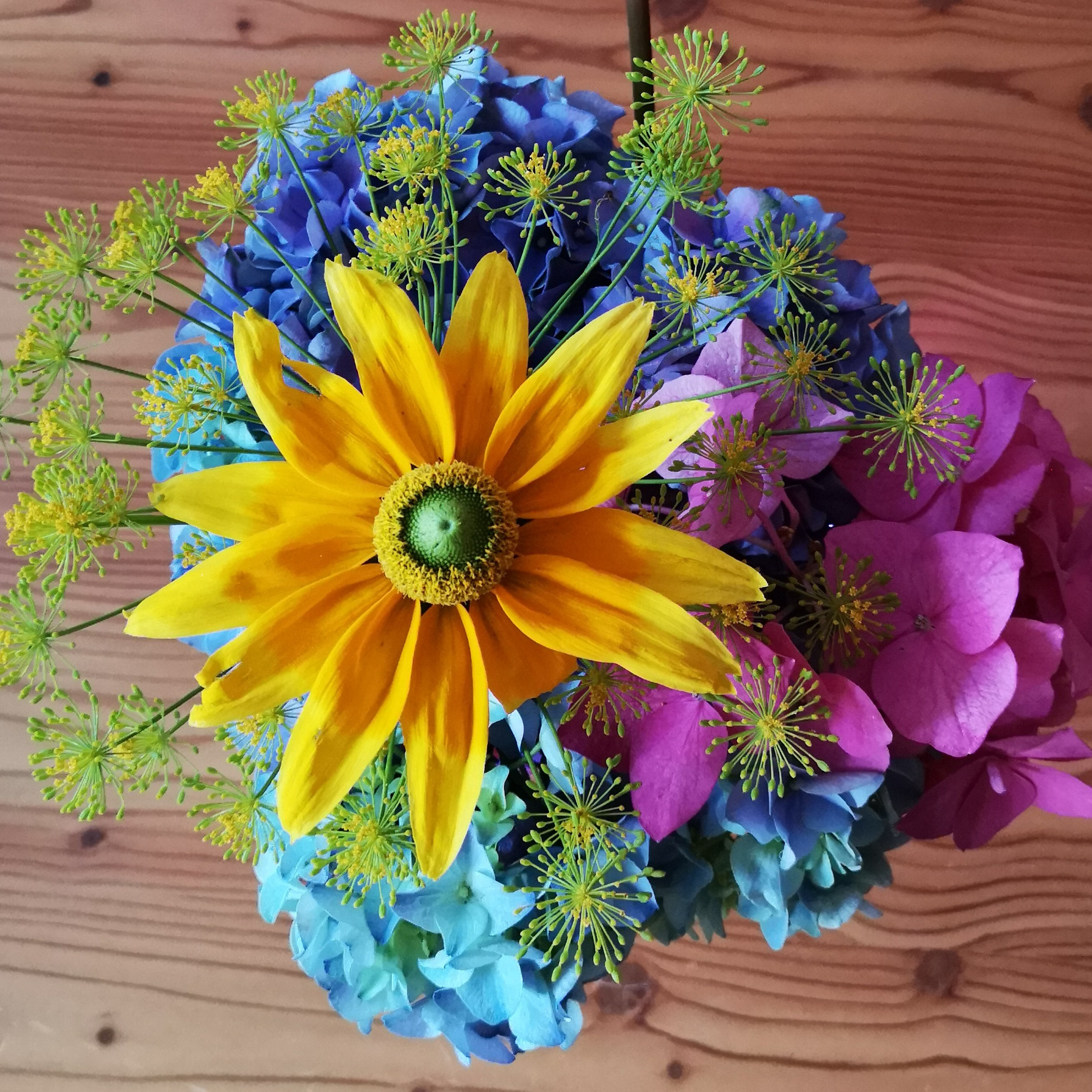 cropped-img_20180701_224605