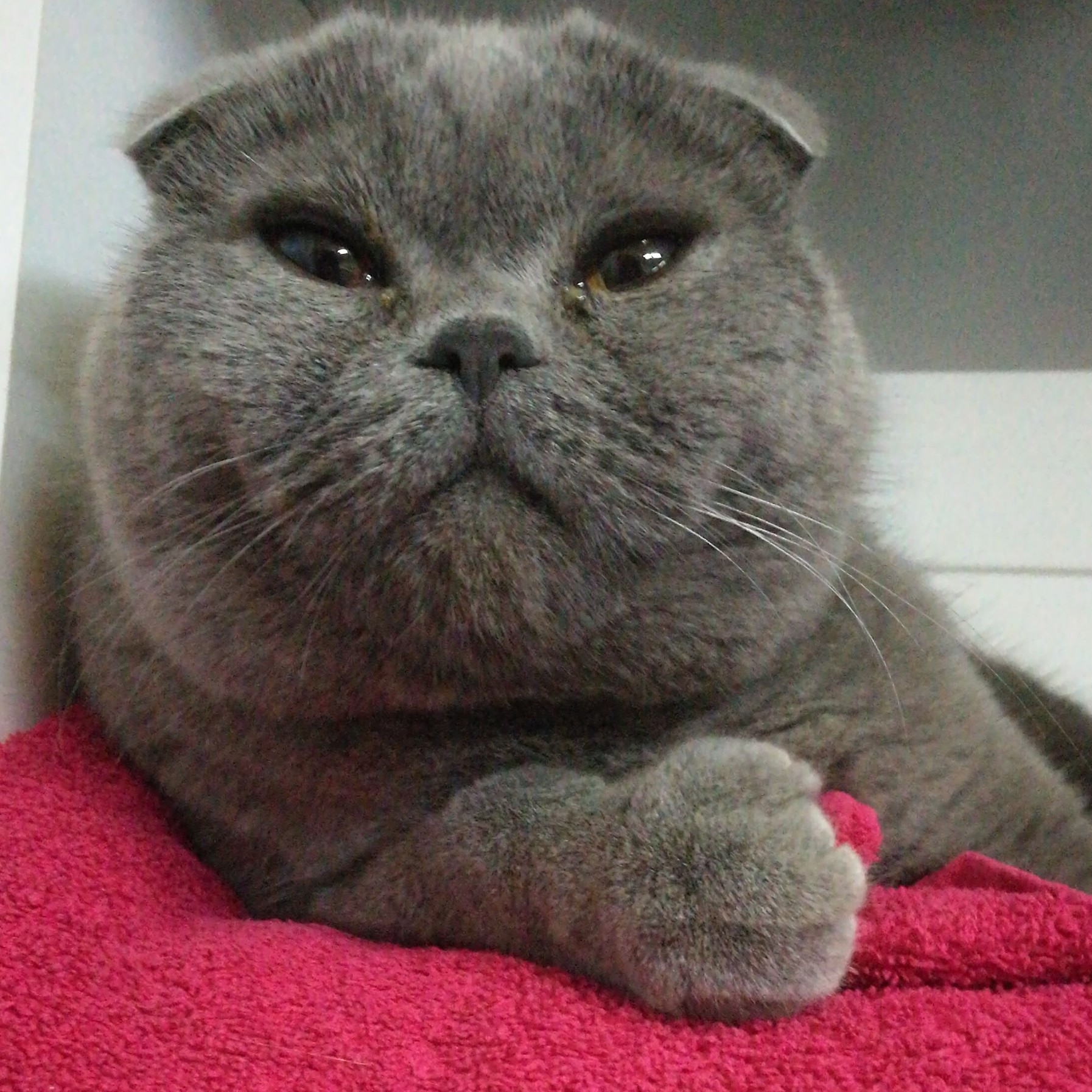 IMG_20171123_083838_165_optimized (1)